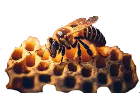 Save the Bees
