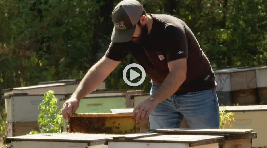 Bee farmers experiencing challenges from 2023 severe weather changes
