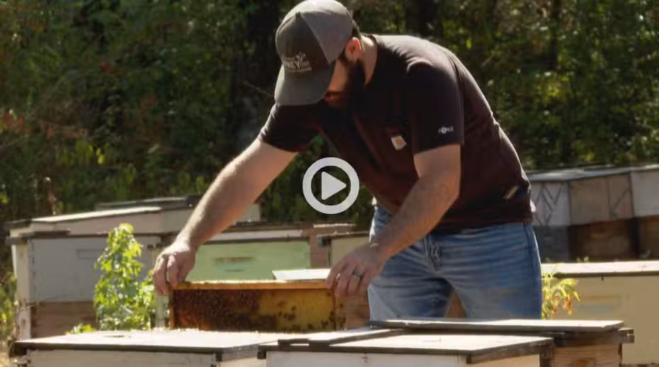 Bee farmers experiencing challenges from 2023 severe weather changes