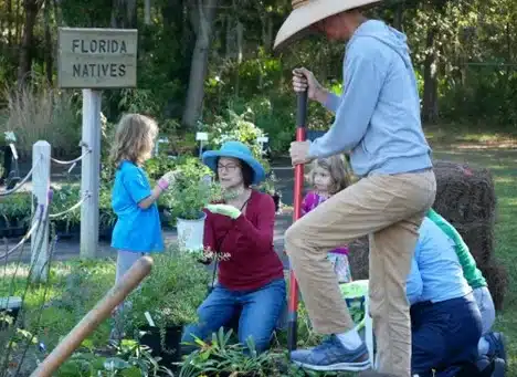 El primer jardín nativo de Bee City USA en Gainesville se instala en un evento comunitario de siembra