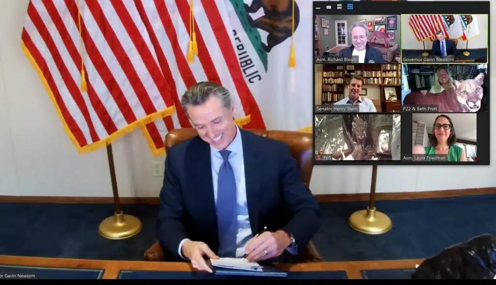 VICTORIA: El gobernador Newsom firma un proyecto de ley que limita los pesticidas que matan abejas