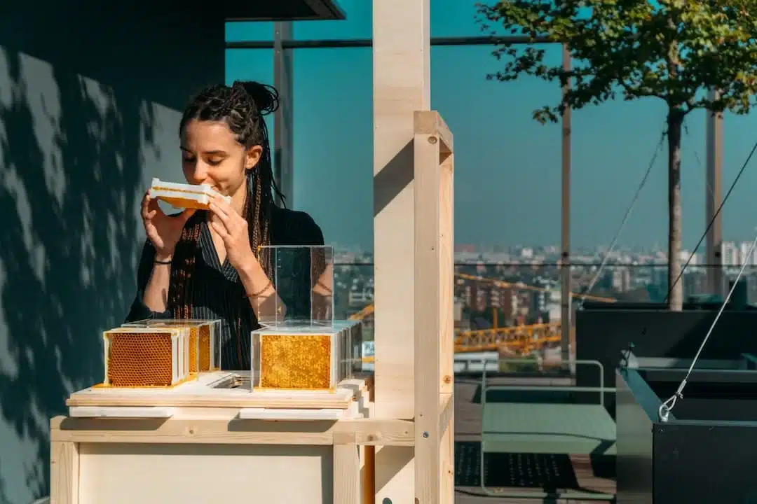 Beekeeping Education for Schools