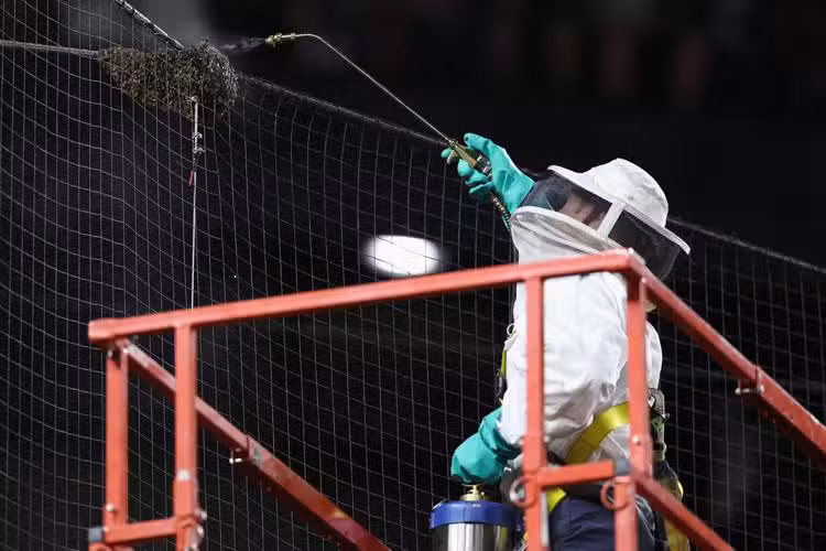 Swarm of bees delays Arizona Diamondbacks vs. Los Angeles game in Arizona. A ‘MVP’ beekeeper came to the rescue