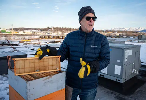 Alaska beekeepers kill their colonies every fall, but an Anchorage man has another way