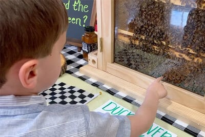 Beekeeping in Schools - Bee Education