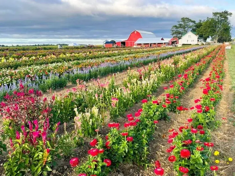 Community members restoring pollinator habitat