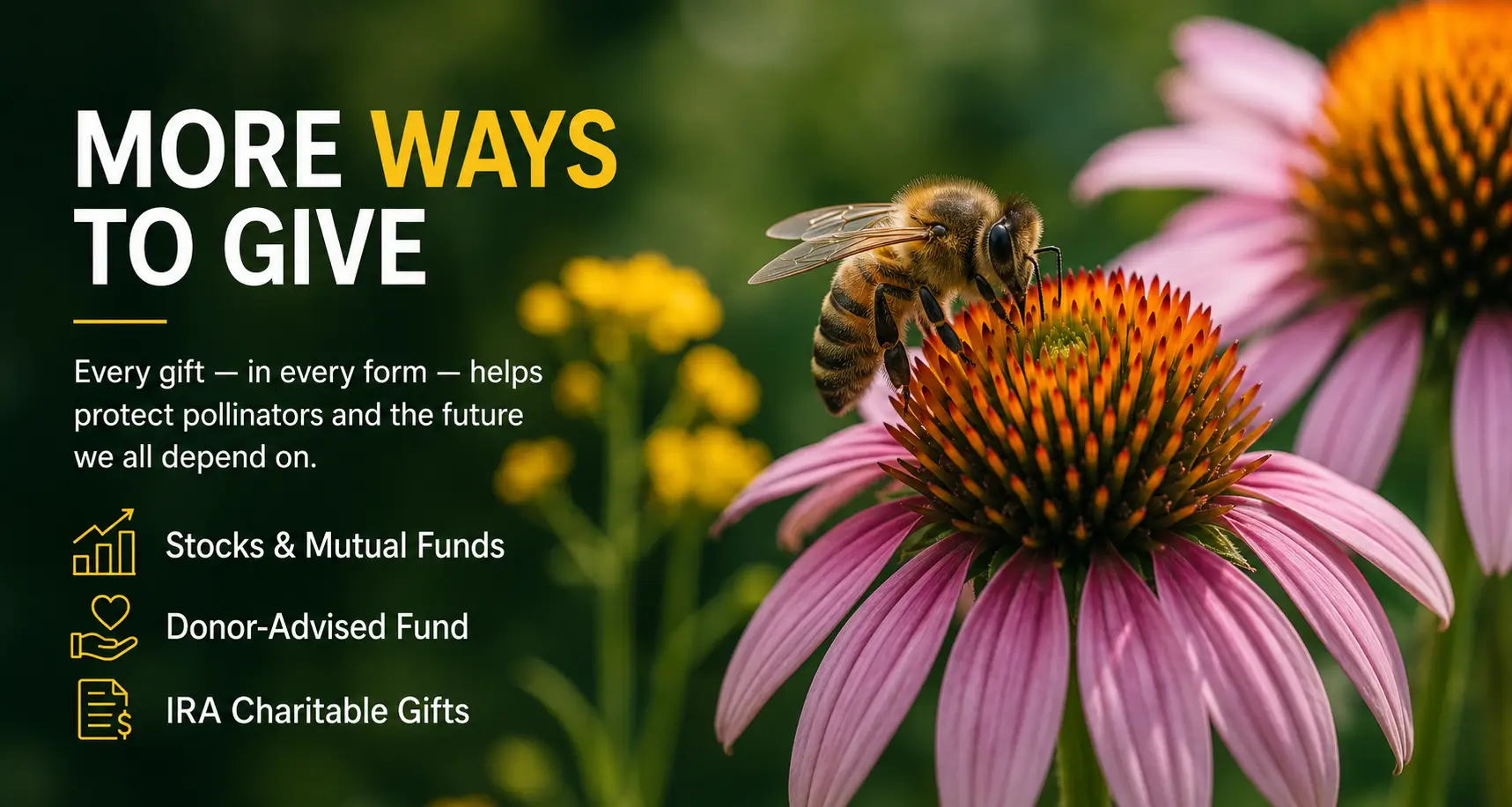 more ways to give