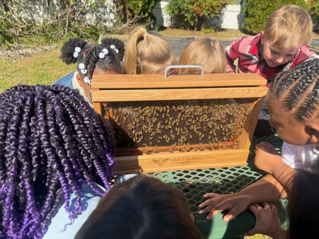 Save The Bees USA Observation Hive at a School with kids