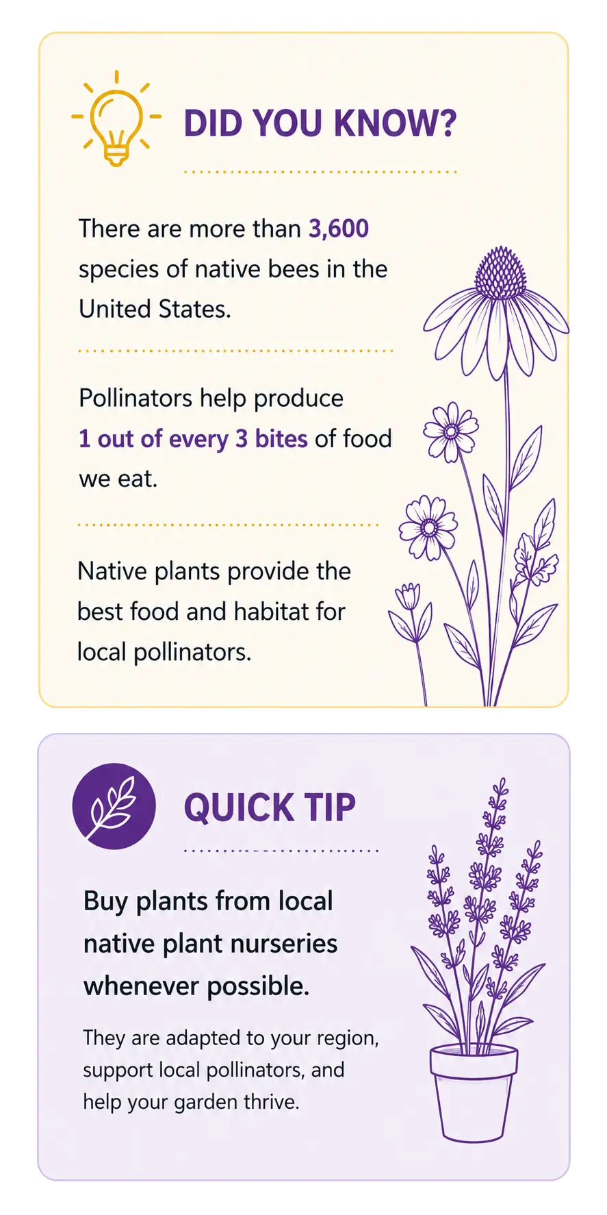 did you know and quick tips