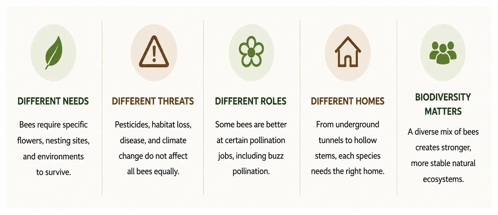 Five Pillars of Bee Biodiversity