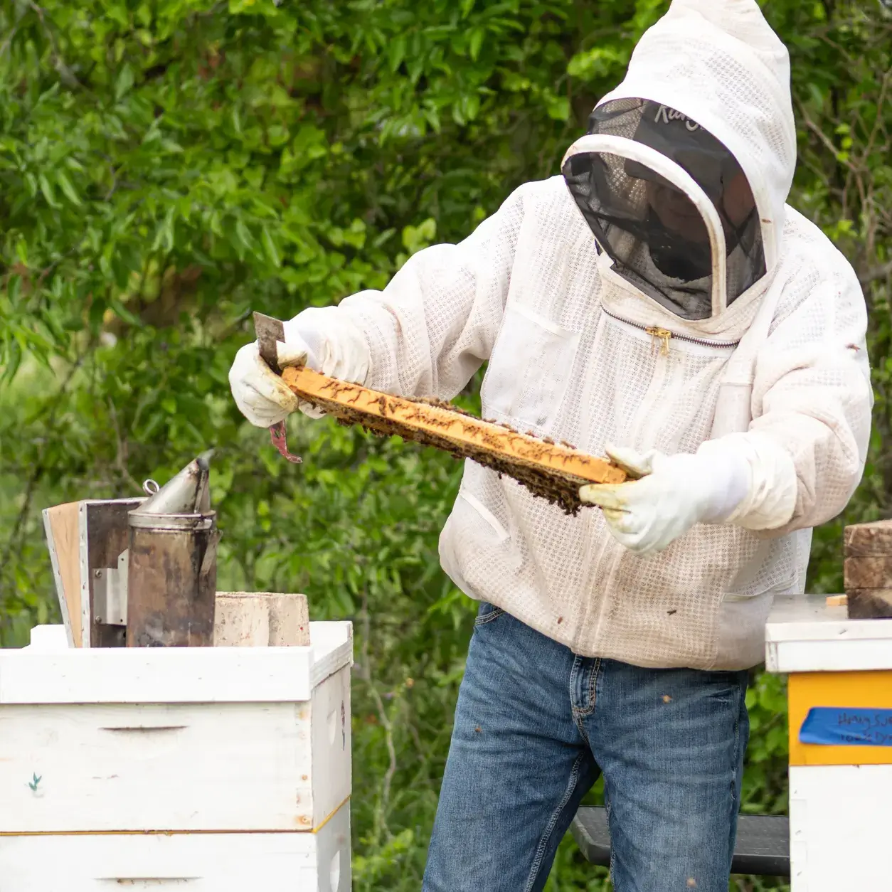 james farrell beekeeper (1)