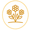 Pollinatoir Garden